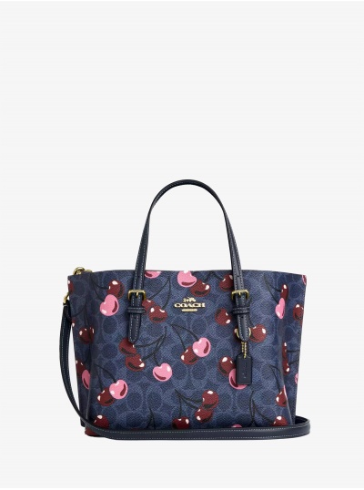 Сумка COACH Mollie 25 Crossbody Bag Medium